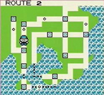 Pokemon Red/Blue/Yellow route 2 screenshot