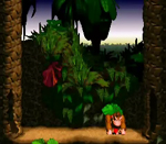 Donkey Kong Country lose screenshot