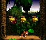 Donkey Kong Country bonus screenshot