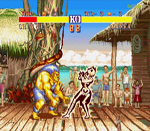 Street Fighter II blanka screenshot